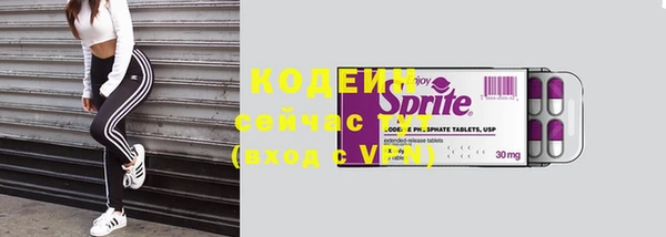 молекула духа Елизово
