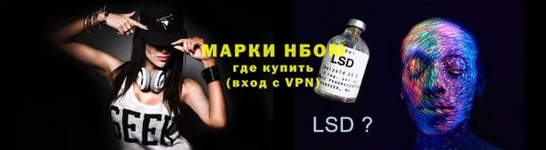 молекула духа Елизово