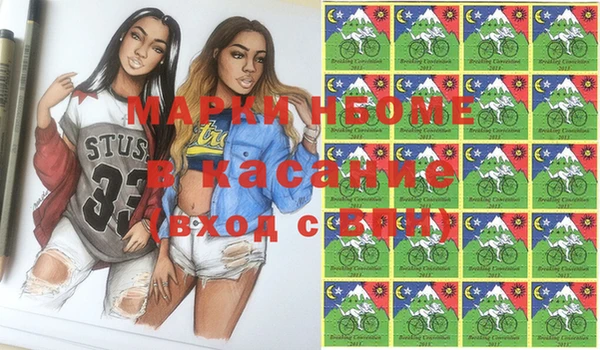 молекула духа Елизово
