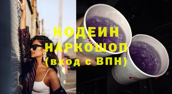 молекула духа Елизово