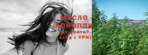 молекула духа Елизово