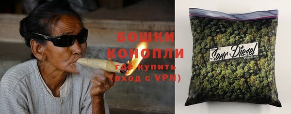 PSILOCYBIN Заволжск